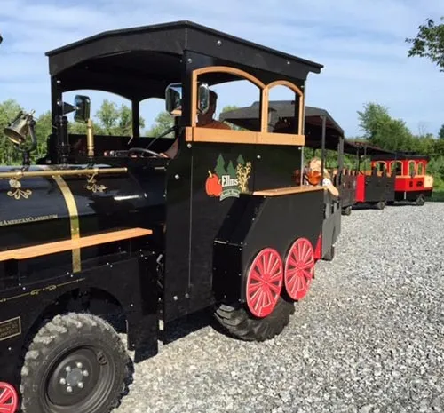 The train at Elms Family Farm