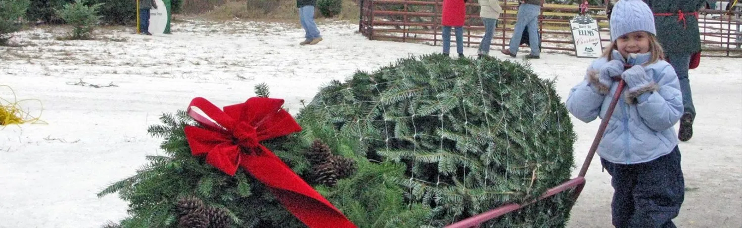 Child pulls tree cart with Christmas tree and wreath