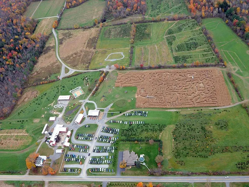 Aerial view of corn maze in Ballston Spa